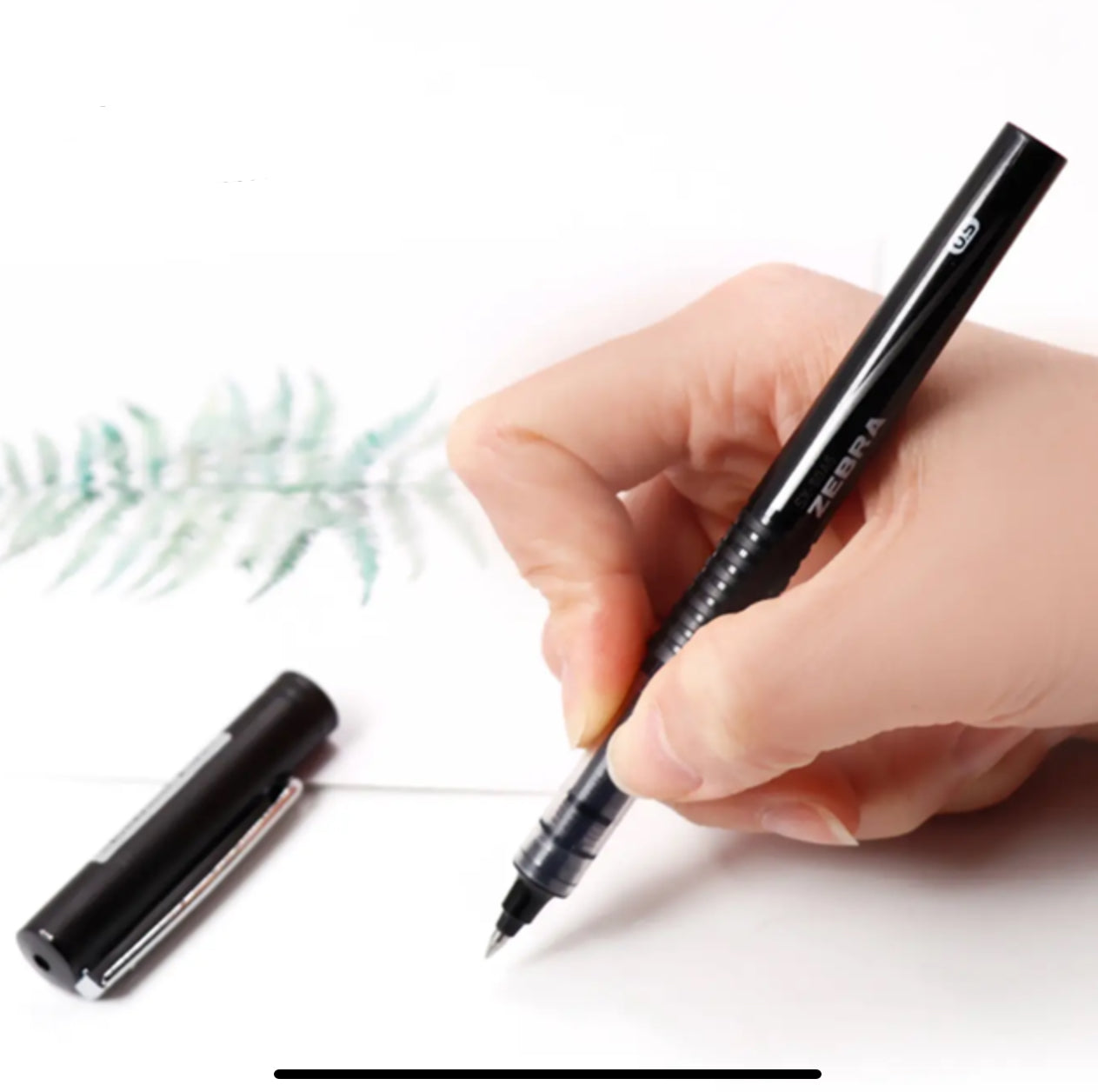 Zebra Pens- Red, Blue Black