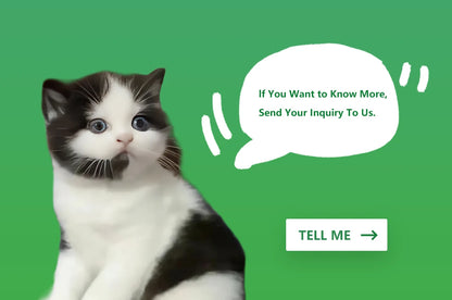 4G Wifi Whole-house Mobile Toy With HD Camera Cat Dog Smart Toy Pet Companion Robot