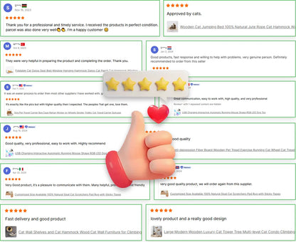 4G Wifi Whole-house Mobile Toy With HD Camera Cat Dog Smart Toy Pet Companion Robot